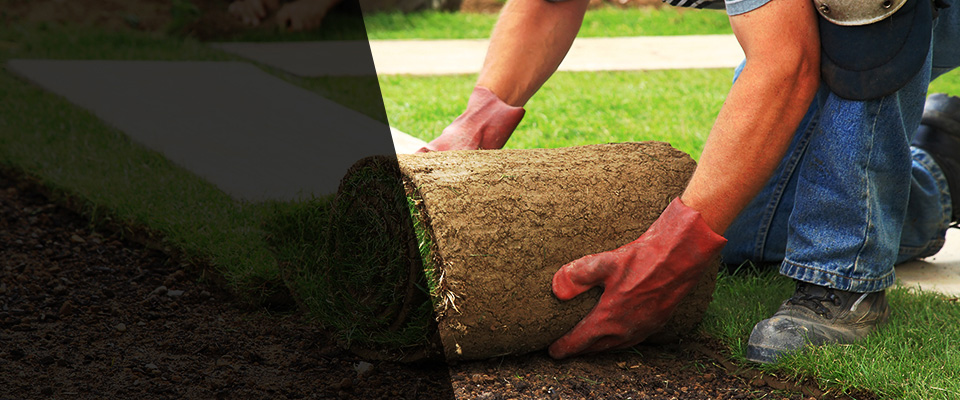 Punxsutawney Landscapers